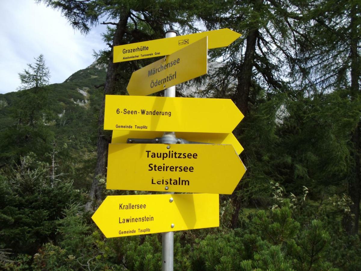 Ferienwohnung Weideblick Tauplitz Exterior foto